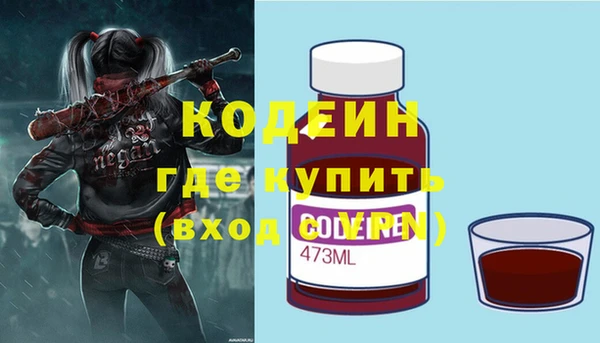 гашик Коряжма