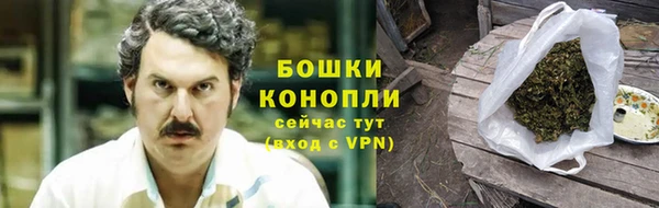 прущие грибы Красноперекопск