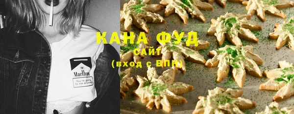 сатива Корсаков