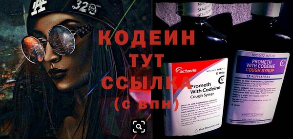 гашик Коряжма