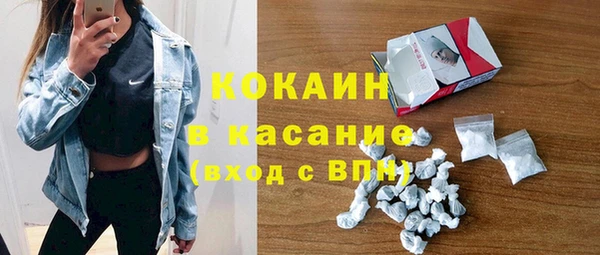 сатива Корсаков
