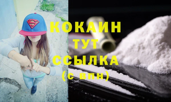 сатива Корсаков