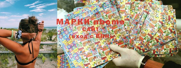 сатива Корсаков