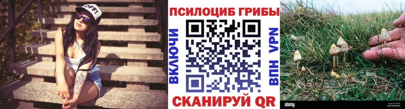 Галлюциногенные грибы прущие грибы  Купить закладки  Городовиковск 